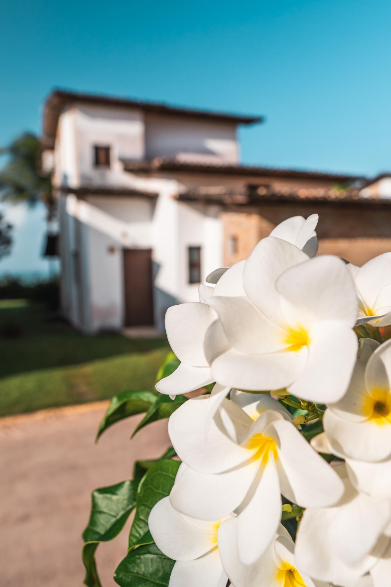 Hotel Varandas Mar De Pipa Praia de Pipa Zewnętrze zdjęcie